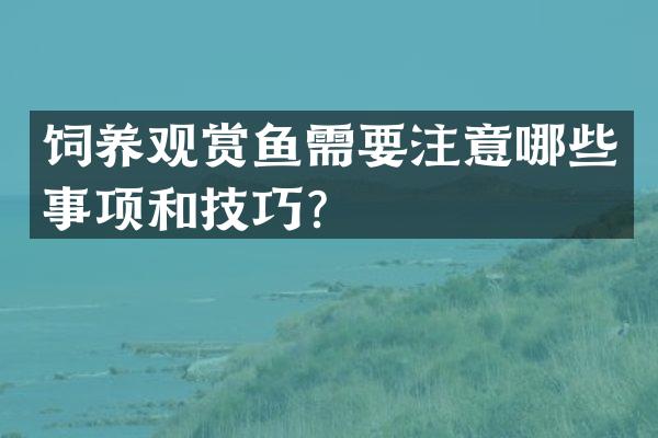 饲养观赏鱼需要注意哪些事项和技巧？