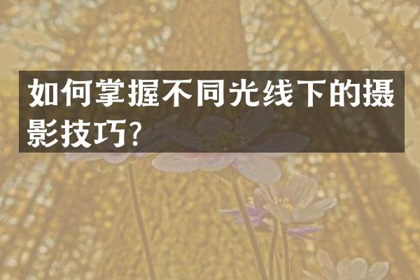 如何掌握不同光线下的摄影技巧？