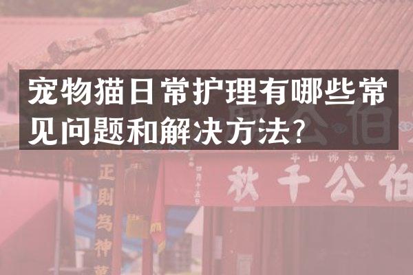 宠物猫日常护理有哪些常见问题和解决方法？