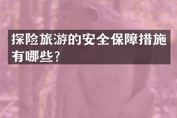 探险旅游的安全保障措施有哪些？