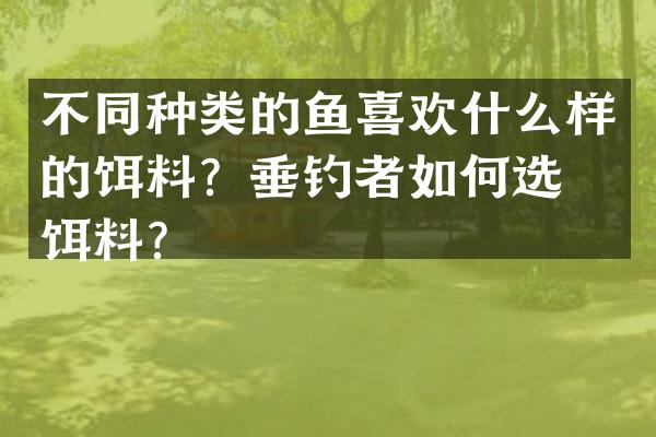 不同种类的鱼喜欢什么样的饵料？垂钓者如何选择饵料？