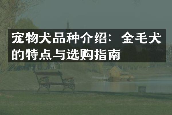 宠物犬品种介绍：金毛犬的特点与选购指南