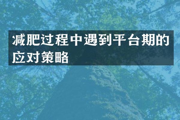 减肥过程中遇到平台期的应对策略