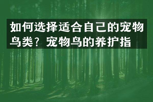 如何选择适合自己的宠物鸟类？宠物鸟的养护指南