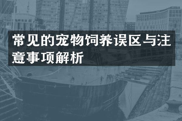 常见的宠物饲养误区与注意事项解析