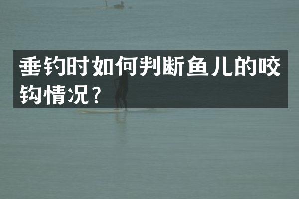 垂钓时如何判断鱼儿的咬钩情况？