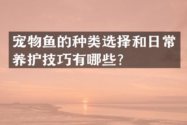 宠物鱼的种类选择和日常养护技巧有哪些？