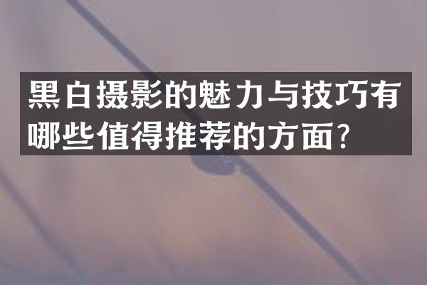 黑白摄影的魅力与技巧有哪些值得推荐的方面？