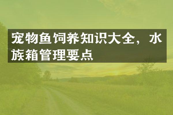 宠物鱼饲养知识大全，水族箱管理要点