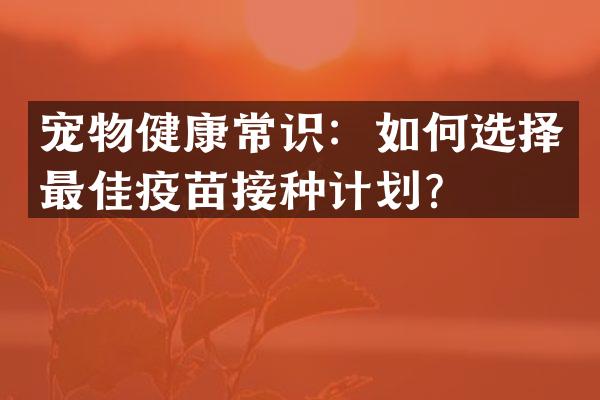 宠物健康常识：如何选择最佳疫苗接种计划？