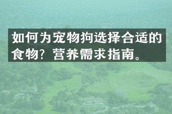 如何为宠物狗选择合适的食物？营养需求指南。
