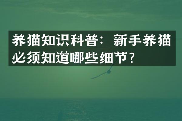 养猫知识科普：新手养猫必须知道哪些细节？