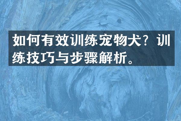 如何有效训练宠物犬？训练技巧与步骤解析。