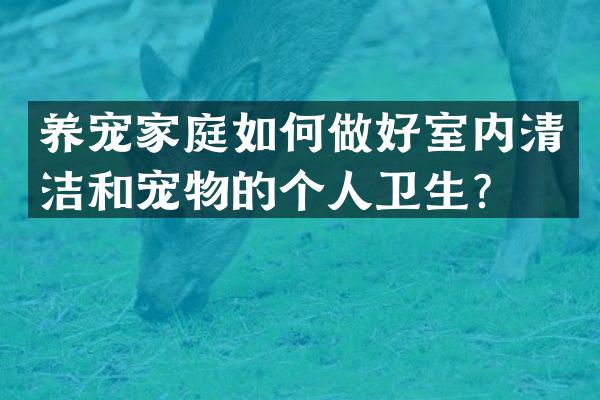 养宠家庭如何做好室内清洁和宠物的个人卫生？
