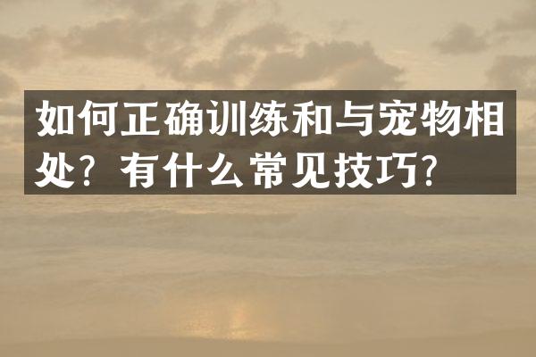 如何正确训练和与宠物相处？有什么常见技巧？