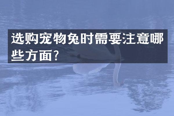 选购宠物兔时需要注意哪些方面？