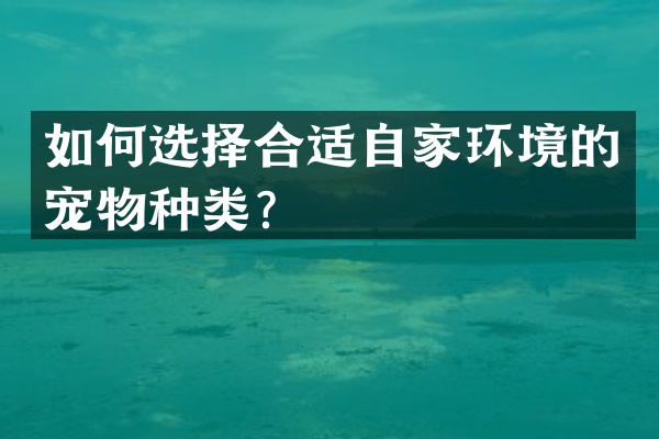 如何选择合适自家环境的宠物种类？