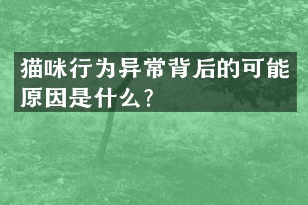 猫咪行为异常背后的可能原因是什么？