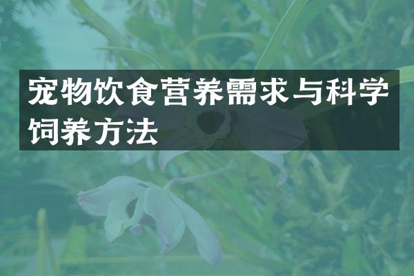 宠物饮食营养需求与科学饲养方法