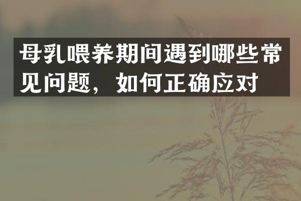 母乳喂养期间遇到哪些常见问题，如何正确应对？