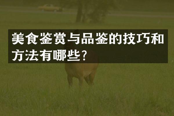 美食鉴赏与品鉴的技巧和方法有哪些？