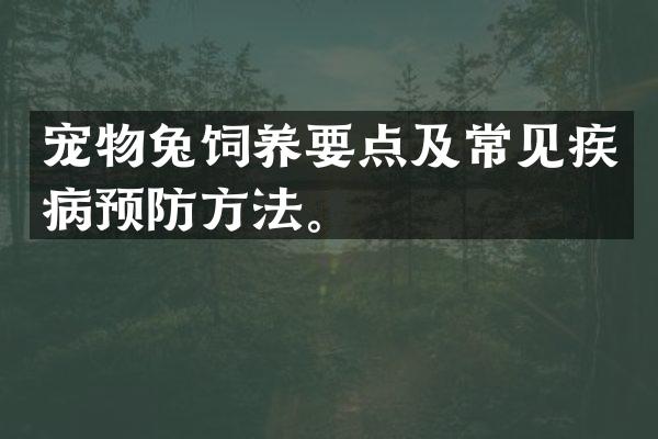 宠物兔饲养要点及常见疾病预防方法。