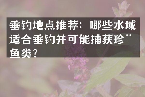 垂钓地点推荐：哪些水域适合垂钓并可能捕获珍稀鱼类？