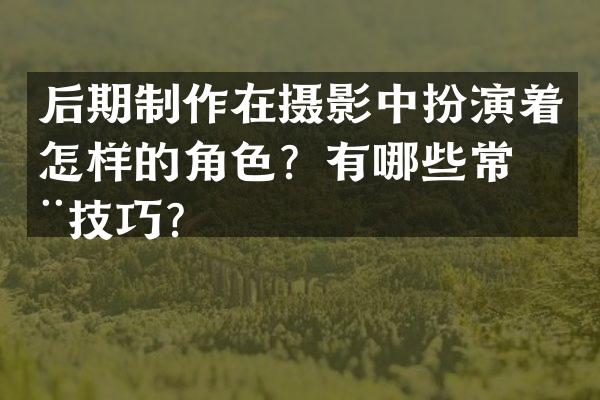 后期制作在摄影中扮演着怎样的角色？有哪些常用技巧？