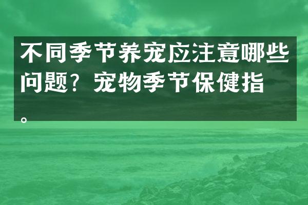 不同季节养宠应注意哪些问题？宠物季节保健指南。