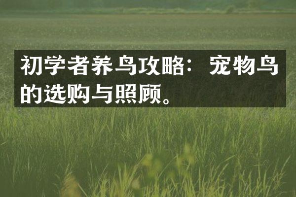 初学者养鸟攻略：宠物鸟的选购与照顾。