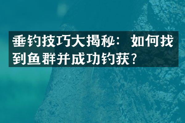 垂钓技巧大揭秘：如何找到鱼群并成功钓获？