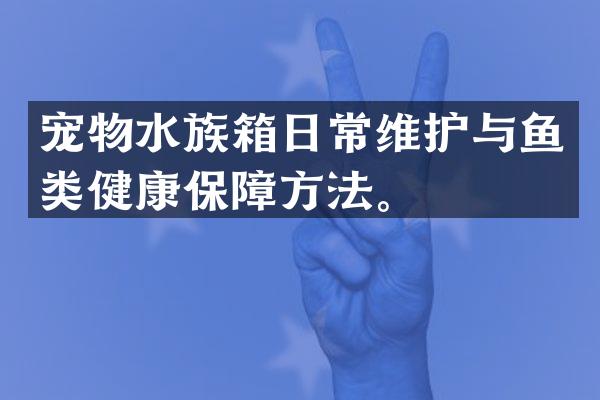 宠物水族箱日常维护与鱼类健康保障方法。