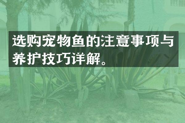 选购宠物鱼的注意事项与养护技巧详解。