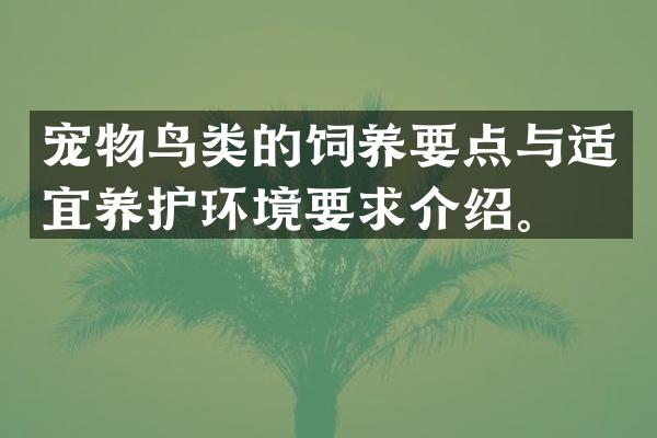 宠物鸟类的饲养要点与适宜养护环境要求介绍。