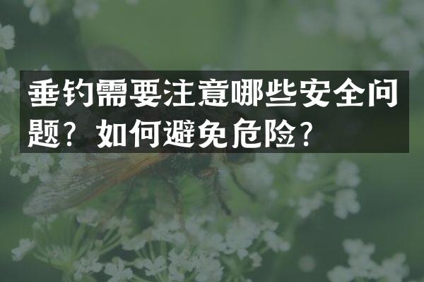 垂钓需要注意哪些安全问题？如何避免危险？