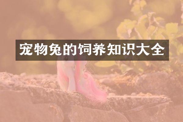 宠物兔的饲养知识大全