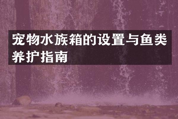 宠物水族箱的设置与鱼类养护指南