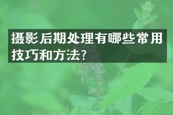 摄影后期处理有哪些常用技巧和方法？