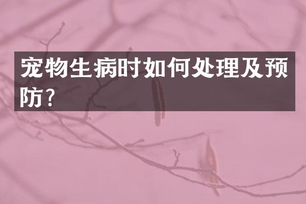 宠物生病时如何处理及预防？