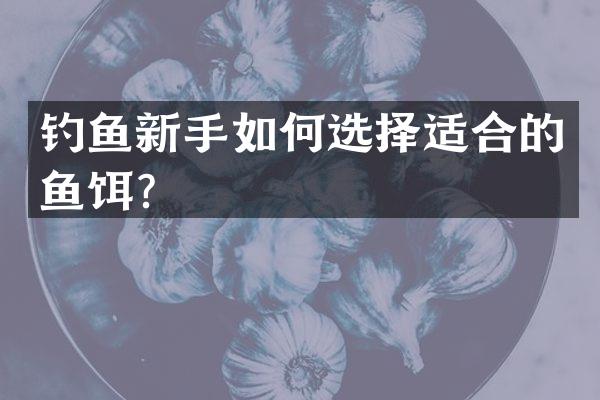 钓鱼新手如何选择适合的鱼饵？