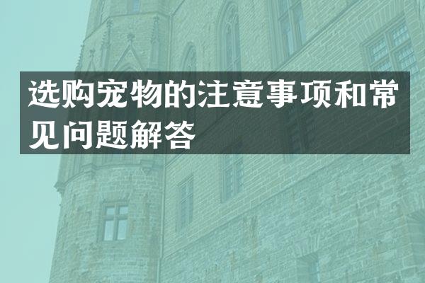 选购宠物的注意事项和常见问题解答