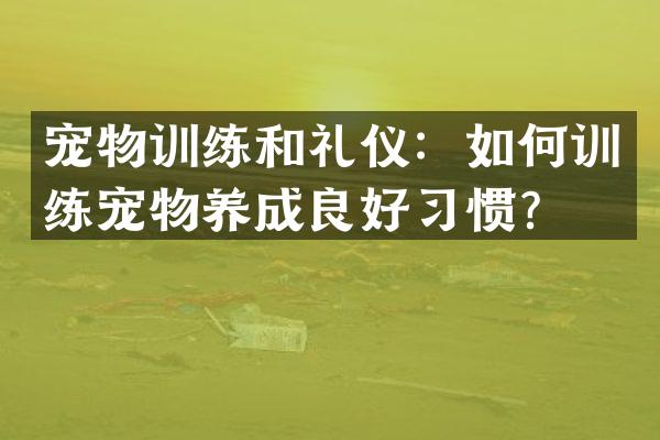 宠物训练和礼仪：如何训练宠物养成良好习惯？