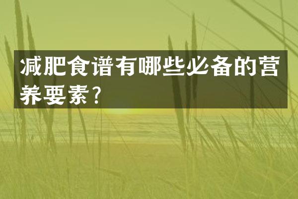 减肥食谱有哪些必备的营养要素？