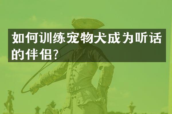 如何训练宠物犬成为听话的伴侣？