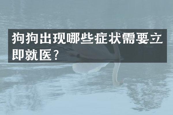 狗狗出现哪些症状需要立即就医？