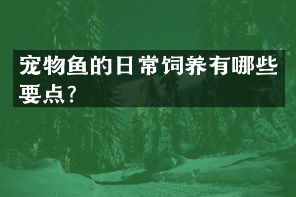 宠物鱼的日常饲养有哪些要点？