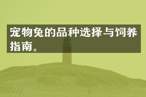宠物兔的品种选择与饲养指南。