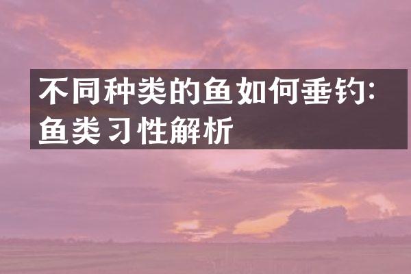 不同种类的鱼如何垂钓：鱼类习性解析