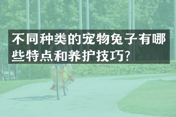 不同种类的宠物兔子有哪些特点和养护技巧？