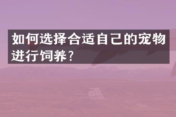 如何选择合适自己的宠物进行饲养？